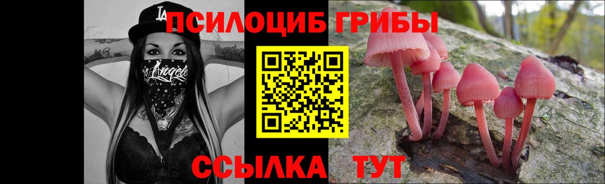 Псилоцибиновые грибы Cubensis Клин